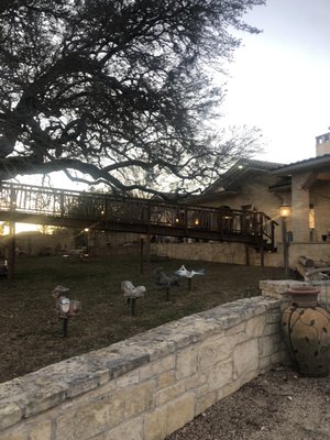 The Laurel Tree by null