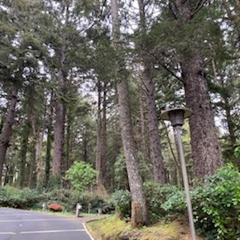Inn at Otter Crest - Inn at Otter Crest property - Hotels Near Me - Otter Rock, Oregon