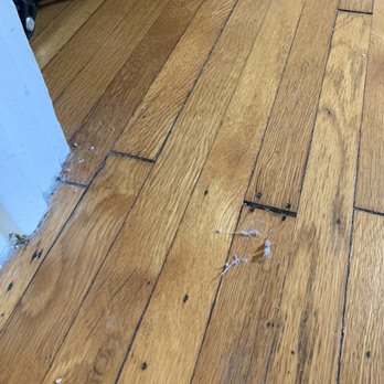 Conscious Cleaning 314 - Dust balls on floor-- no vacuuming. - Home Cleaning Near Me Conscious Cleaning 314 - Dust balls on floor-- no vacuuming. - Home Cleaning Near Me