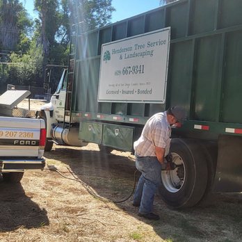 Henderson Tree Service - Tree Services Near Me Henderson Tree Service - Tree Services Near Me