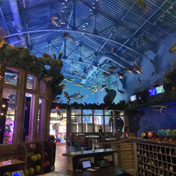 Uncle Buck's Fishbowl & Grill - American Near Me - Round Rock, Texas Uncle Buck's Fishbowl & Grill - American Near Me - Round Rock, Texas
