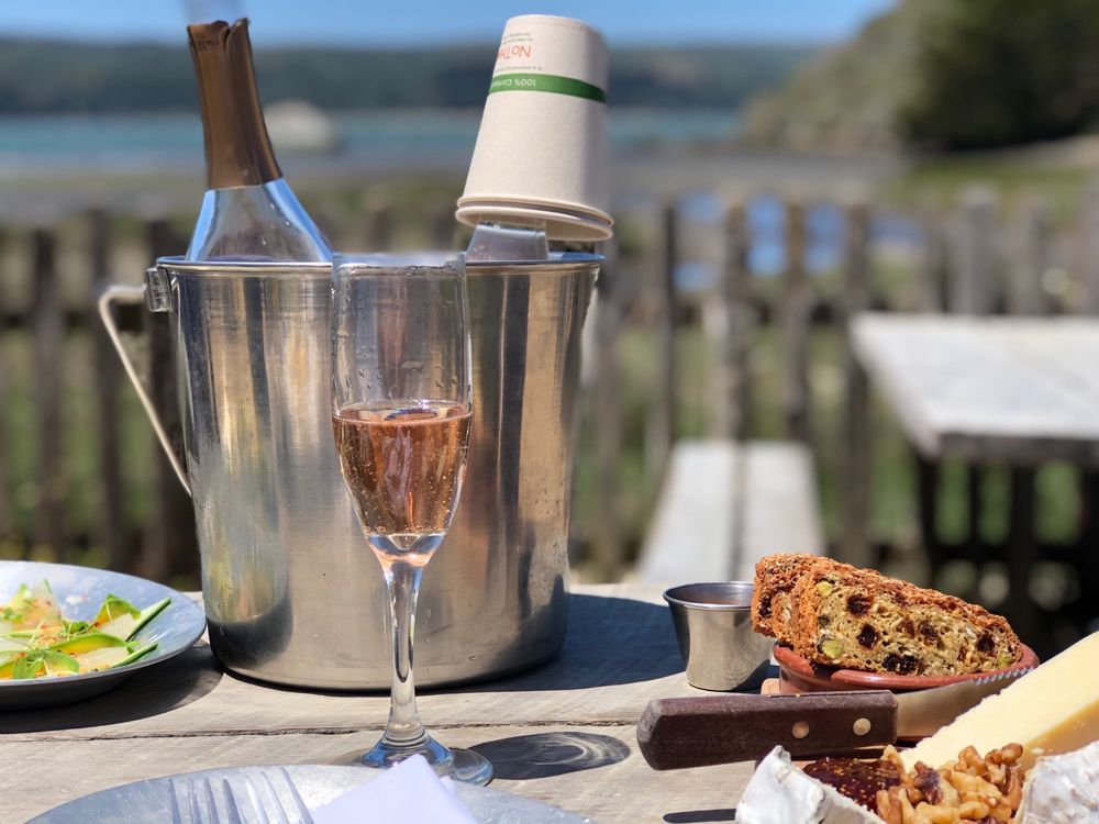 Hog Island Oyster