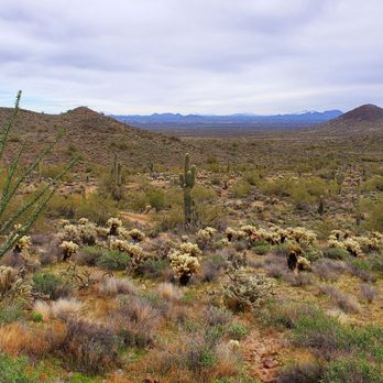 Desert Vista Trail Head - Hiking Near Me - Phoenix, Arizona