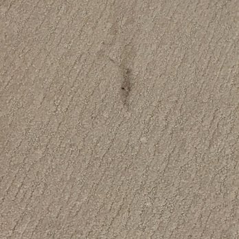 Anaheim Resort Suites - Dirty carpet - Hotels Near Me - Anaheim, California