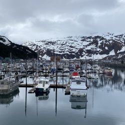 Whittier Small Boat Harbor