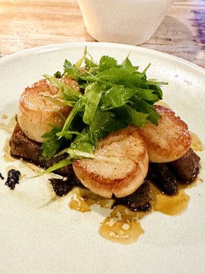The Nash Restaurant & Off Cut Bar by null