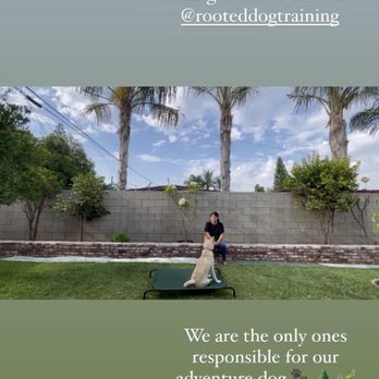 Rooted Dog Training - Pet Training Near Me
