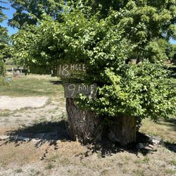 Rustic Gardens Golf Center - Course pictures
