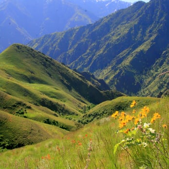 Hells Canyon National Recreation Area - View from Freezeout Saddle into canyon. - Hiking Near Me - Wallowa, Oregon