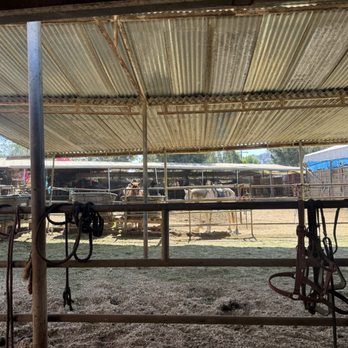 Griffith Park Horse Rentals - Barn - Horseback Riding Near Me - Glendale, California