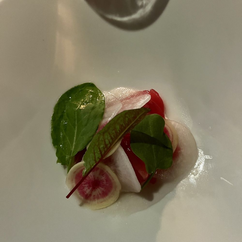 Aria Restaurant Sydney - Yellowfin Tuna with dashi broth - Modern Australian Near Me - Sydney, NSW