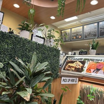 Shemda Crepes, Drinks & More - Acai Bowls Near Me - Chino, California Shemda Crepes, Drinks & More - Acai Bowls Near Me - Chino, California