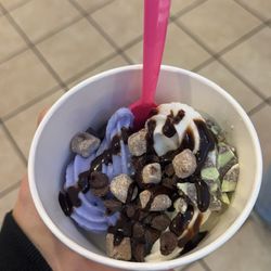 Tutti Frutti Frozen Yogurt