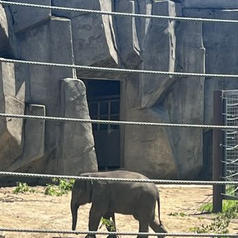 Columbus Zoo and Aquarium - Baby elephant - Zoos Near Me - Powell, Ohio