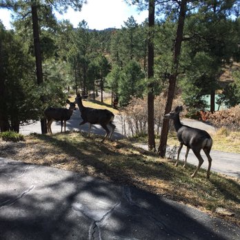 Cozy Cabins Real Estate - Vacation Rentals Near Me - Ruidoso, New Mexico