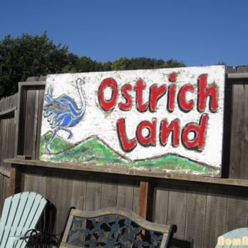 Ostrichland USA - Attraction Farms Near Me - Solvang, California