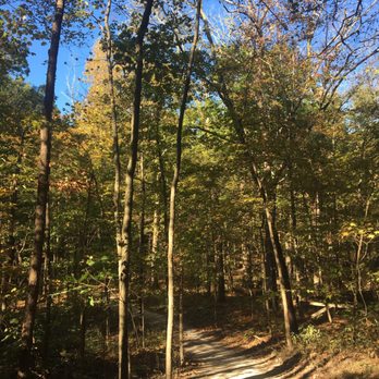 Char-Mar Ridge Preserve - So pretty! - Parks Near Me - Westerville, Ohio