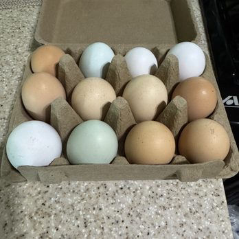 Pecan Valley R V Park - Beautiful fresh eggs - RV Parks Near Me - Junction, Texas