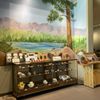 Big Bear Discovery Center gift card