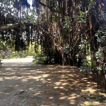 North Shore Macadamia Nut - Coffee & Tea Near Me - Haleiwa, Hawaii
