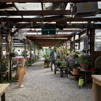 Half Moon Bay Nursery - Nurseries & Gardening Near Me - Half Moon Bay, California Half Moon Bay Nursery - Nurseries & Gardening Near Me - Half Moon Bay, California