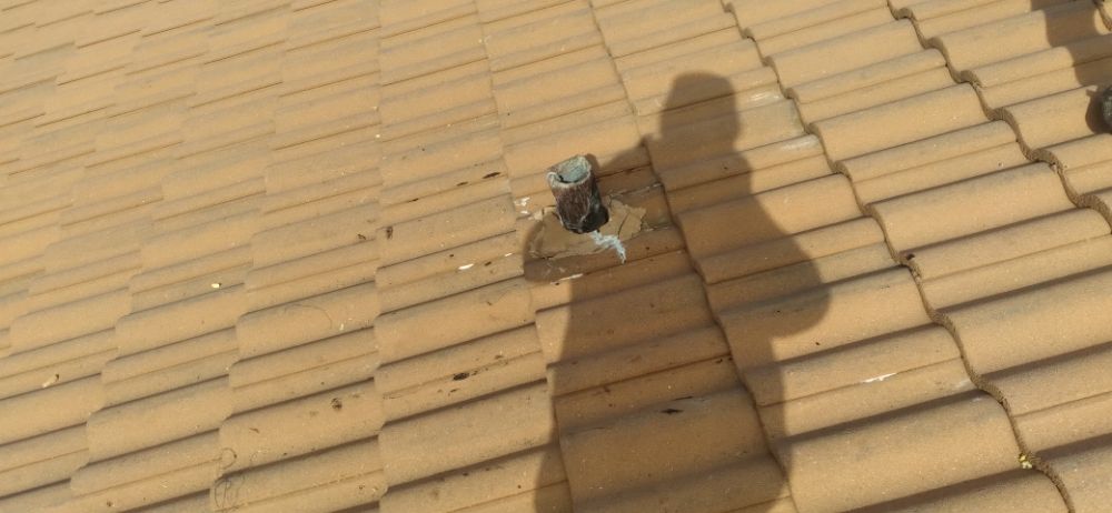 Slide of Bert the roofer