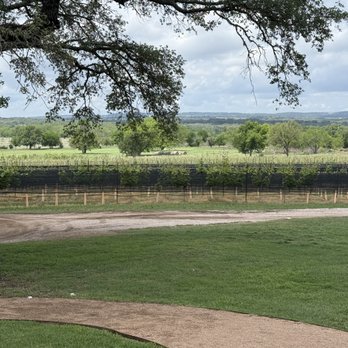 Texas Wine Collective - Wine Tasting Room Near Me - Fredericksburg, Texas Texas Wine Collective - Wine Tasting Room Near Me - Fredericksburg, Texas