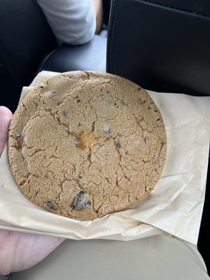 T-Rex Cookie Company by null