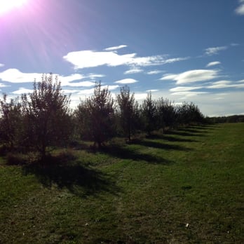 Alber Orchard & Cider Mill - Views from the hayride. - Attraction Farms Near Me - Manchester, Michigan