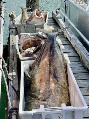 Haida Gwaii Fishing Charters by null
