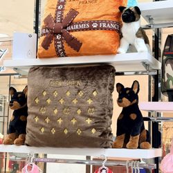 Aventura Pups
