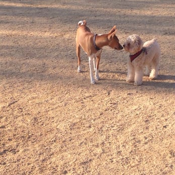 Mitchell Park - Dog park! - Playgrounds Near Me - Palo Alto, California Mitchell Park - Dog park! - Playgrounds Near Me - Palo Alto, California