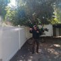 Eco Friendz Window & Pressure Washing