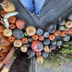Fruit Hill Orchard