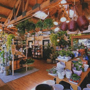 Pueblo - Nurseries & Gardening Near Me - Phoenix, Arizona