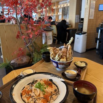 Tendon Kohaku - mentaiko udon and sakura tendon - Japanese Near Me - Bellevue, Washington Tendon Kohaku - mentaiko udon and sakura tendon - Japanese Near Me - Bellevue, Washington