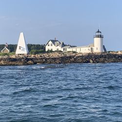 First Chance Whale Watch - Goat Island