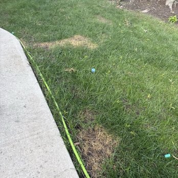 66 Landscaping - Spilled weed killer dead patches... - Lawn Services Near Me 66 Landscaping - Spilled weed killer dead patches... - Lawn Services Near Me