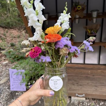 Bloom N Board Farm - Pop-up Shops Near Me - Pawling, New York