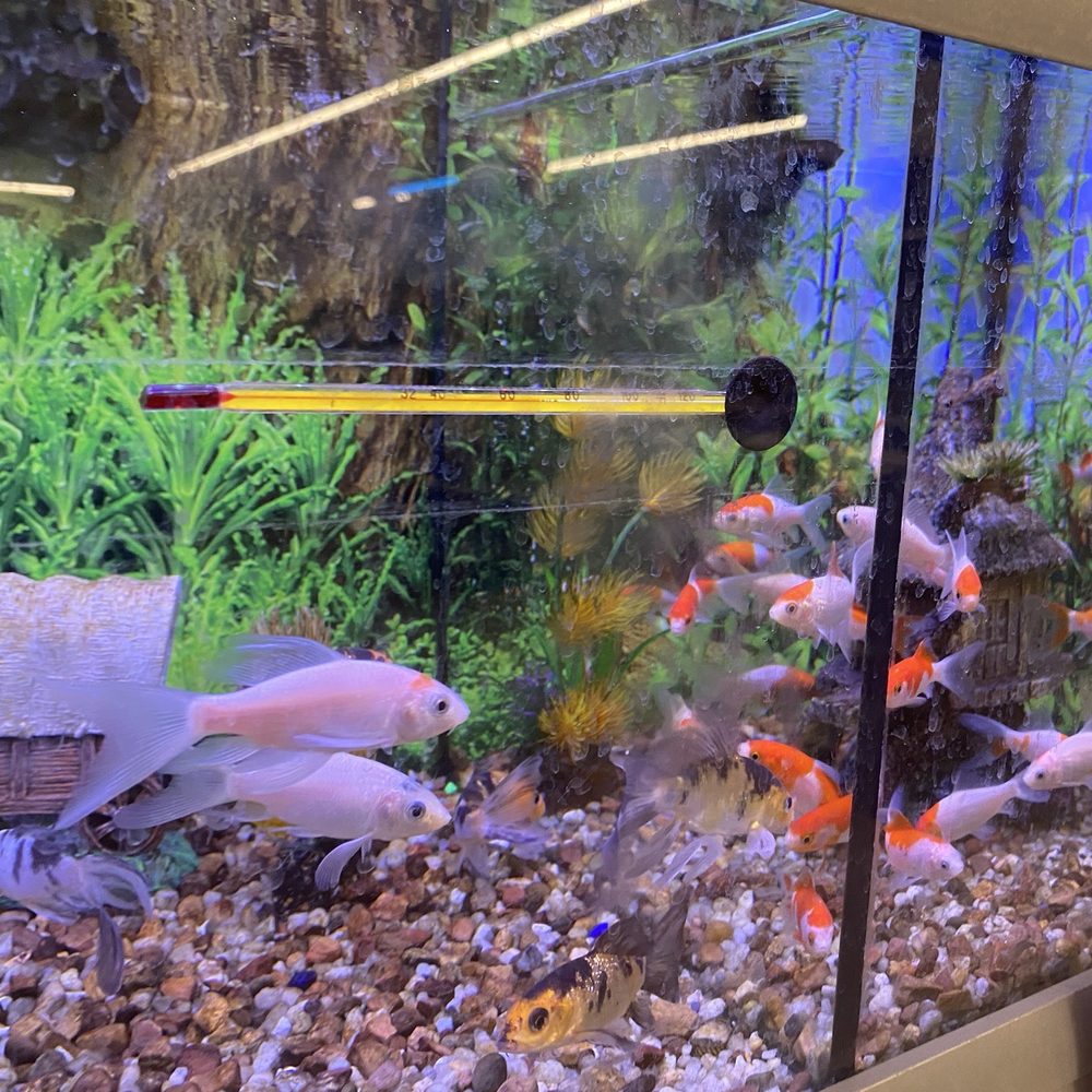 PetSmart - Pet Stores Near Me - Selinsgrove, Pennsylvania