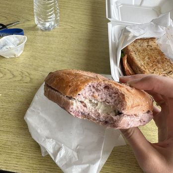Yogi's Bagel Cafe - Blueberry bagel with I think it was honey nut cream cheese - Delis Near Me - Fort Worth, Texas