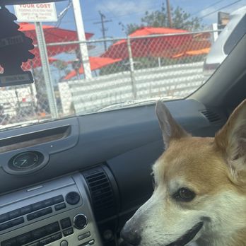 Memphis Cafe - Me n my dog are bummed, we wanted to eat breakfast here but got a rude waitress - Southern Near Me - Costa Mesa, California Memphis Cafe - Me n my dog are bummed, we wanted to eat breakfast here but got a rude waitress - Southern Near Me - Costa Mesa, California