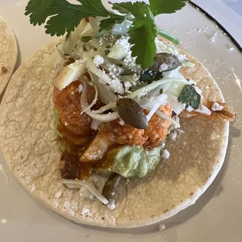 The Painted Burro - Harvard Square - Buffalo Cauliflower Taco - Mexican Near Me - Cambridge, Massachusetts The Painted Burro - Harvard Square - Buffalo Cauliflower Taco - Mexican Near Me - Cambridge, Massachusetts
