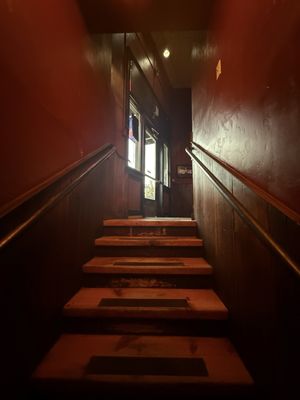 The Redwood Room by null