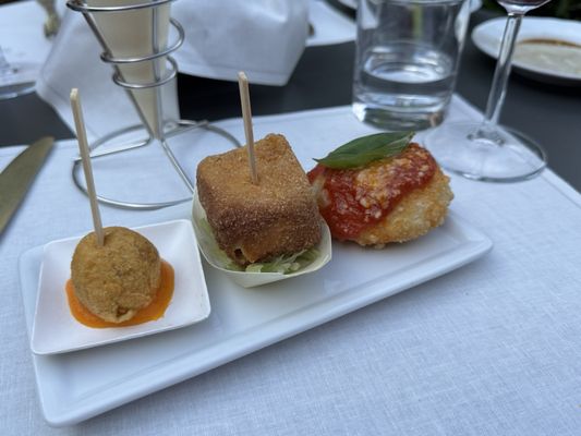 Donna Camilla Savelli by null