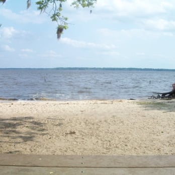Goose Creek State Park - the beach - Parks Near Me - Washington, North Carolina