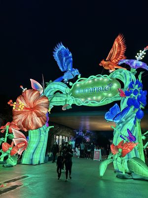 San Antonio Botanical Garden by null