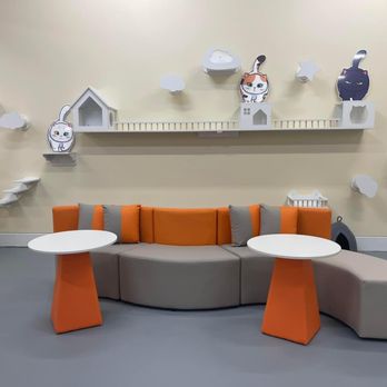 Pawz Pet Cafe - A clean, cozy environment to hang out with adoptable cats at!
Climbing walls for the cats are pictured behind a modular couch. - Pet Adoption Near Me - Carmel, Indiana Pawz Pet Cafe - A clean, cozy environment to hang out with adoptable cats at!
Climbing walls for the cats are pictured behind a modular couch. - Pet Adoption Near Me - Carmel, Indiana