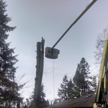 Simonson Tree Service - Tree Services Near Me Simonson Tree Service - Tree Services Near Me