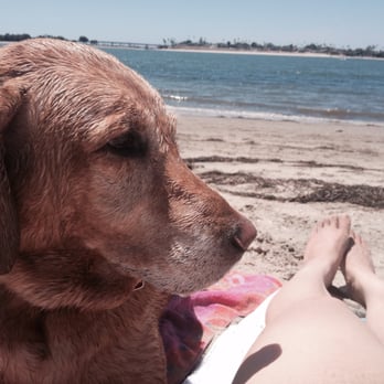Fiesta Island - Staked out at our spot at her fav beach. - Parks Near Me - San Diego, California Fiesta Island - Staked out at our spot at her fav beach. - Parks Near Me - San Diego, California